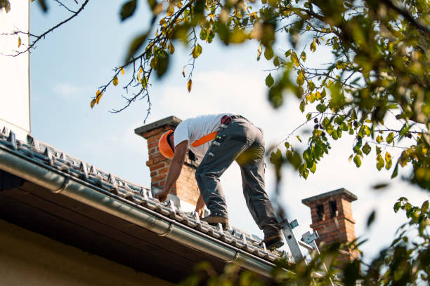 Best Roof Gutter Cleaning  in Connerton, FL